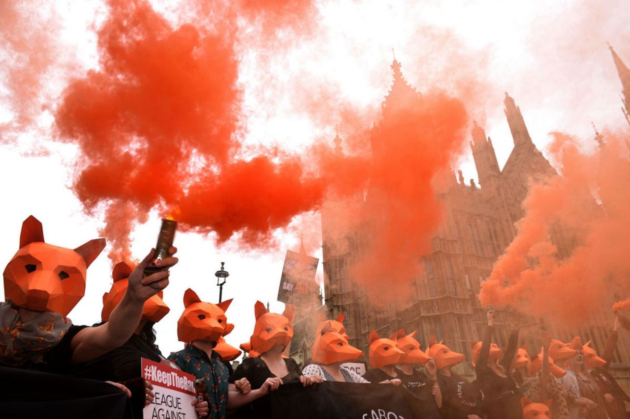 beenhereallalong13:  Protests against fox hunting in London today, Keep the ban!