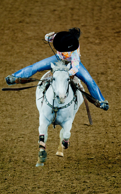 equine-awareness:  The Plea of the Ruined Horse  “There are innumerable factors