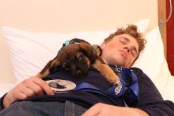 menandtheirdogs:    The Wall Street Journal  Gus Kenworthy, U.S. silver medalist in men’s ski slopestyle, has adopted four stray Sochi puppies.    