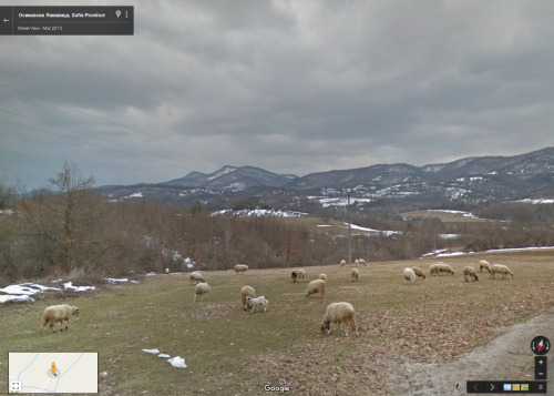 googlesheepview: Osikovska Lakavitsa, Bulgaria Submitted by The Tower of Sleep