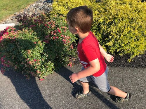 Walking, But Not Too Far. Im Thirsty! (at Weis Markets) Https://www.instagram.com/p/CfckGqsFTjP/?igshid=NGJjMDIxMWI=