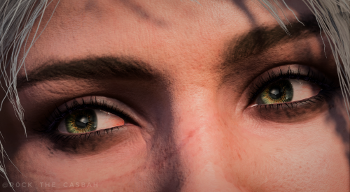 A Short Series With Companions' Eyes