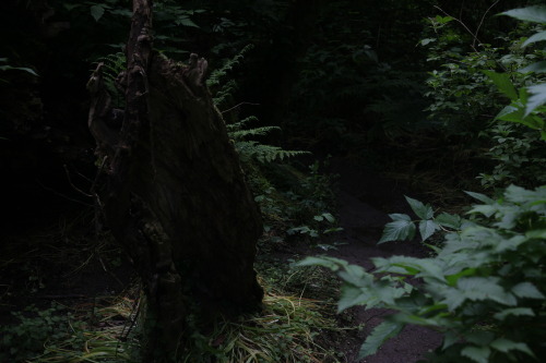 naturalxcauses:visit my page for more nature