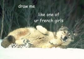 hey bitches