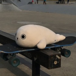 somanyseals:  skateseal