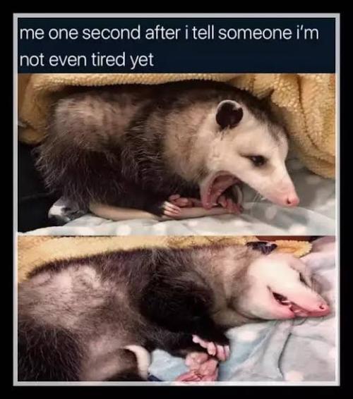 Hmmmmmmmm