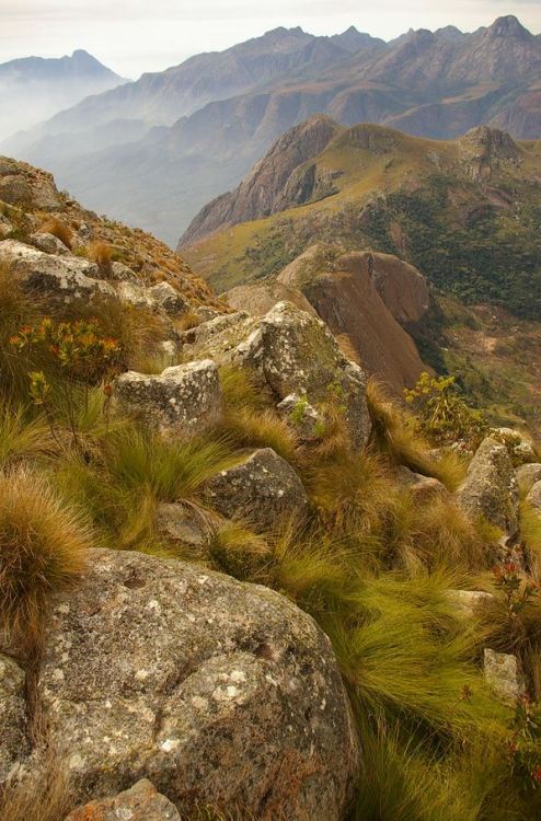 Mount Mulanje / Malawi (by micheal pergolani).