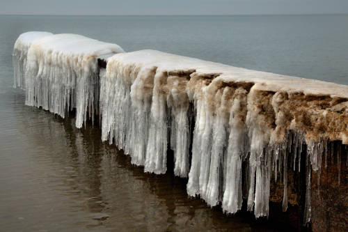 Lake Michigan ice monster skeletons.