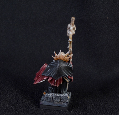 Vampire Counts Necromancer. Had lots of fun coming up with a good red recipe, and thanks to a health