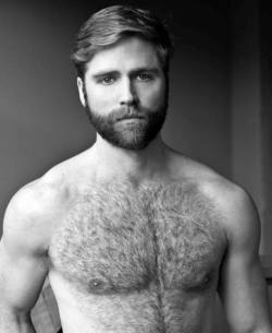 gingerrevolution:  hot4hairy: 