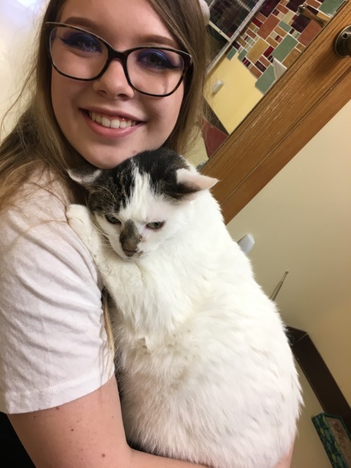 unflatteringcatselfies:  this is captain stubing. i went to a shelter and he adopted me. he is large and in charge