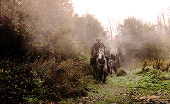 theheirsofdurin:  Graham McTavish as Dougal MacKenzie in ‘Outlander&rsquo;