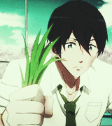 Not Zenin, huh?