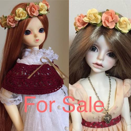 I will be putting these two girls up for sale soon. I just have no plans for them and feel someone c