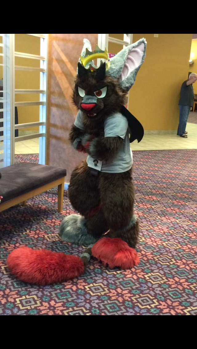 Fursuit Scat