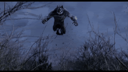 jkvdtsar:  L’Attaque du loup-garou 