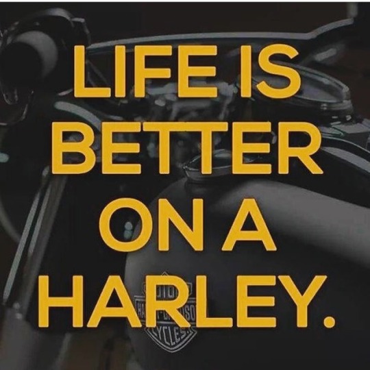 fxstbnighttrain:  It sure is 