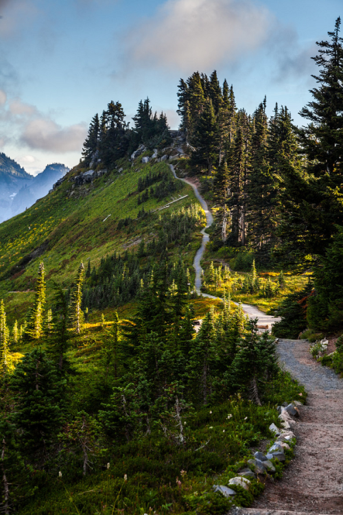 onaflamingpie:  Alta Vista Trail, Mt. Rainier \ Tommy Farnsworth