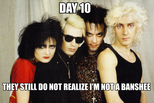 Day 10, and Siouxsie and the Banshees do not realize that Robert isn’t one of them.