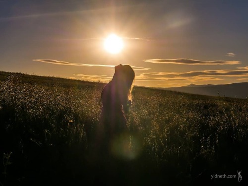 Litha/Lammas/Līgo is drawing near Summer is almost upon usThe fields have turned golden.I have b