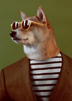 mensweardog:  Menswear Dog sits for an exclusive interview and photoshoot with harpersbazaarHead on over to Bazaar.com for the full feature