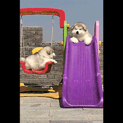 shiftshady:  thenatsdorf:Sploot.  @aslaveobeyss 