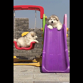 shiftshady:  thenatsdorf:Sploot.  @aslaveobeyss 