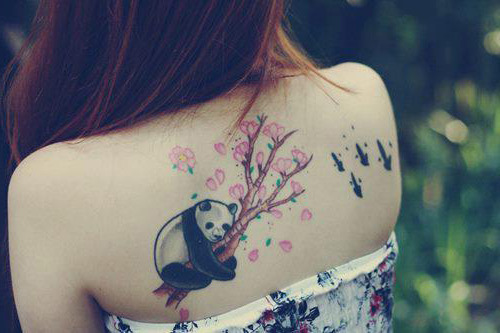 tatus*-* sexi$: