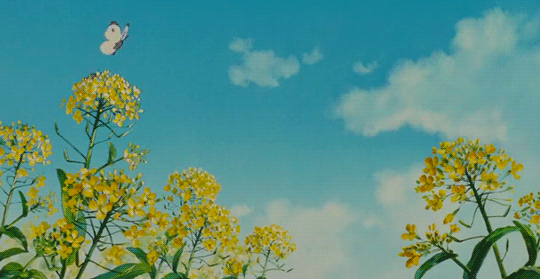 krobelus:Pom Poko (1994)