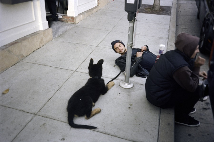 Dylan Rieder
