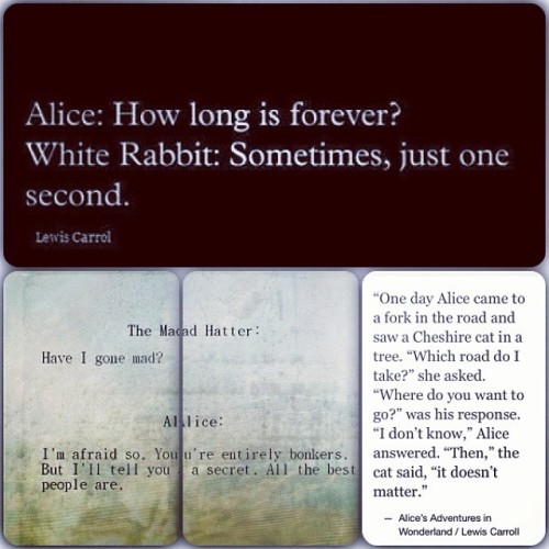 #aliceinwonderland #whiterabbit #chesirecat #quotes ❤️