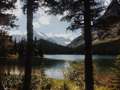 many glacier, glacier national park, 2016