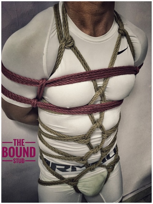 theboundstud: It is always a sight for sore eyes to see a muscular hunk tied up in tights, with a hint of a slutty bright green swimming trunk inside…