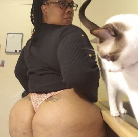 ineedbbw2:    The cat said dayaaaammmmm lol