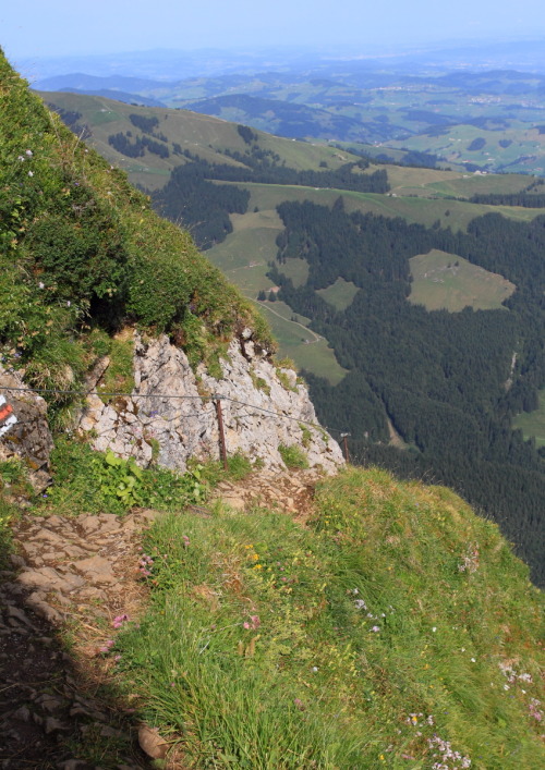 2013: The Swiss do like their hairy walks, but at least they warn you. Path from Schäfler to Altenal