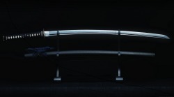 Shaped by Karate