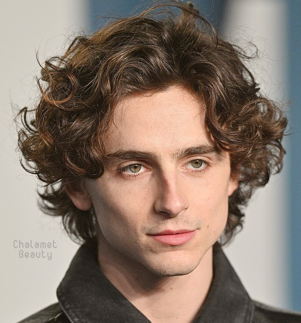 Timothée Chalamet Beauty Collection on Tumblr