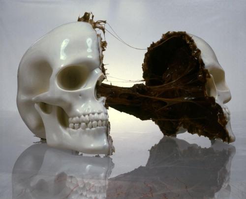 roccocantodea:Kosyo Minchev. White Chocolate Skull, 2004. Rigid polyurethane resin and rubber, 15 x 