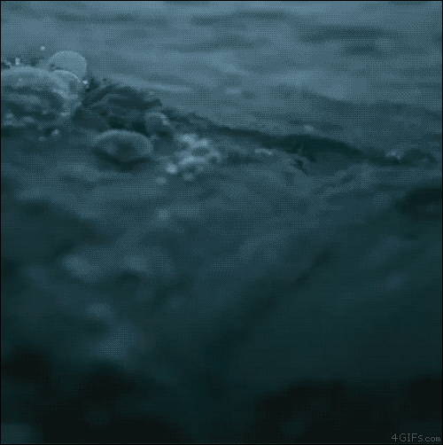 pole–star:“Njörðr rules over the movements of the winds, and he can calm sea and fire. One inv