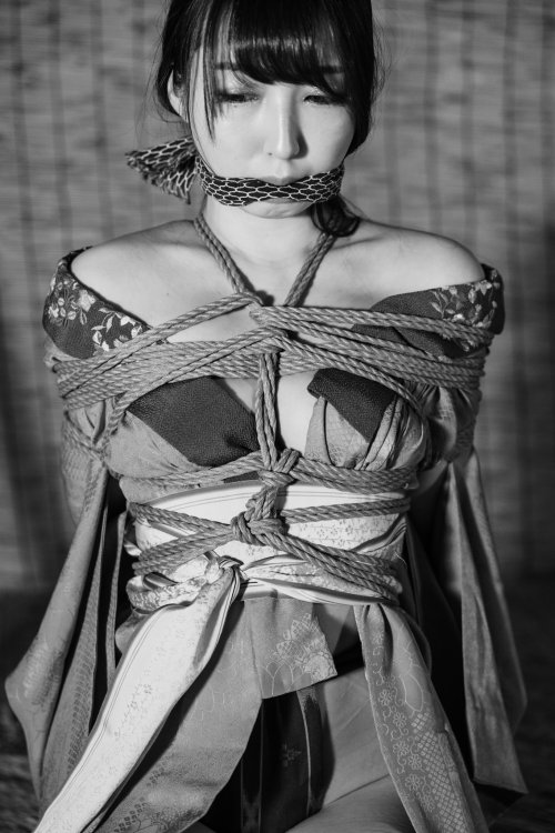 justscreenshots:Shibari & Photo Hajime