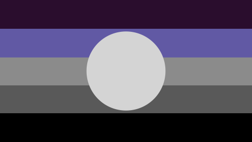 the-gender-collector-emself: The rest of my new flags! From left to right:Noxavire: Anyone who is ma