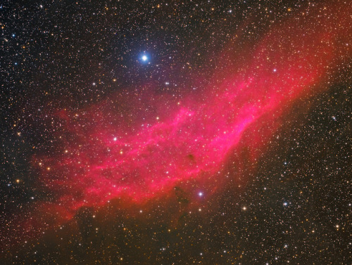 astronomyblog:California Nebula - NGC 1944byVangelis