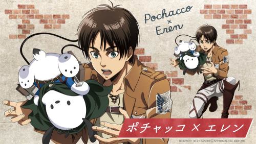 Sanrio Characters