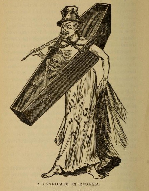 the-two-germanys: A Candidate in Regalia.Theatrical and Circus Life; or, Secrets of the StageJohn J.