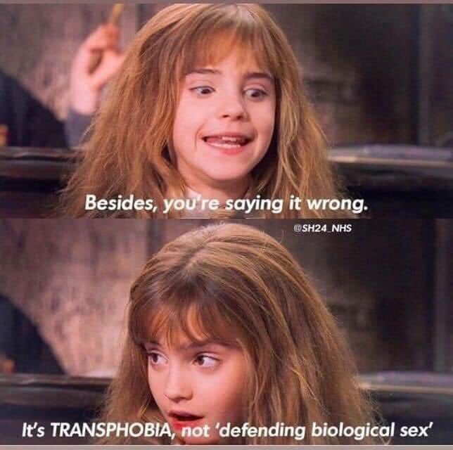Thelastlynx Hermione Has Entered The Chat Thelastlynx Hermione Has Entered The Chat