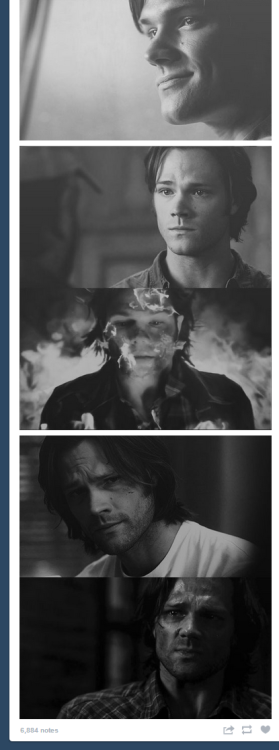 inhale-toxin: theseweirddreams: This just happened on my dash. Not ok. This literally broke my heart