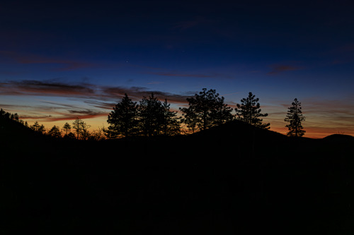 Desert Sunrise- Pacific National Crest Trail, CA, April 2023