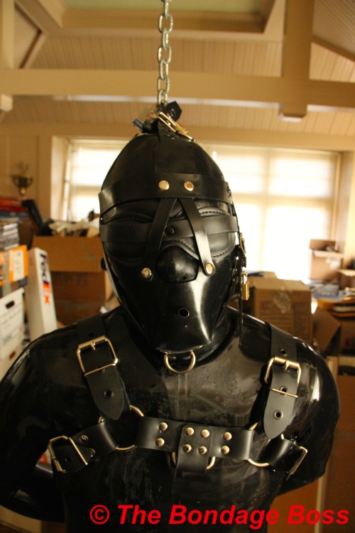 thebondageboss: SF gimp is a fully encased, plugged rubberpigobject