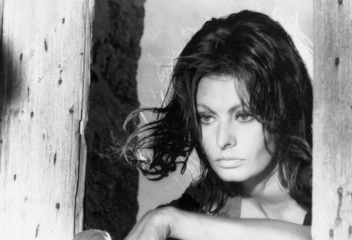 ladybegood:Sophia Loren photographed by Leo Massa for More Than a Miracle (1967)