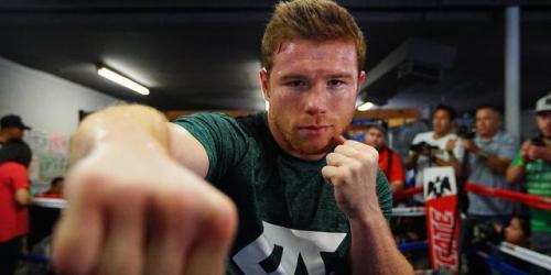 boredirish:Canelo Alvarez… my new favourite red head #caneloalvarez #redhead #ginger #bear #boxer 